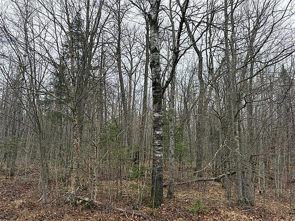 2nd image of ON Hofer Road