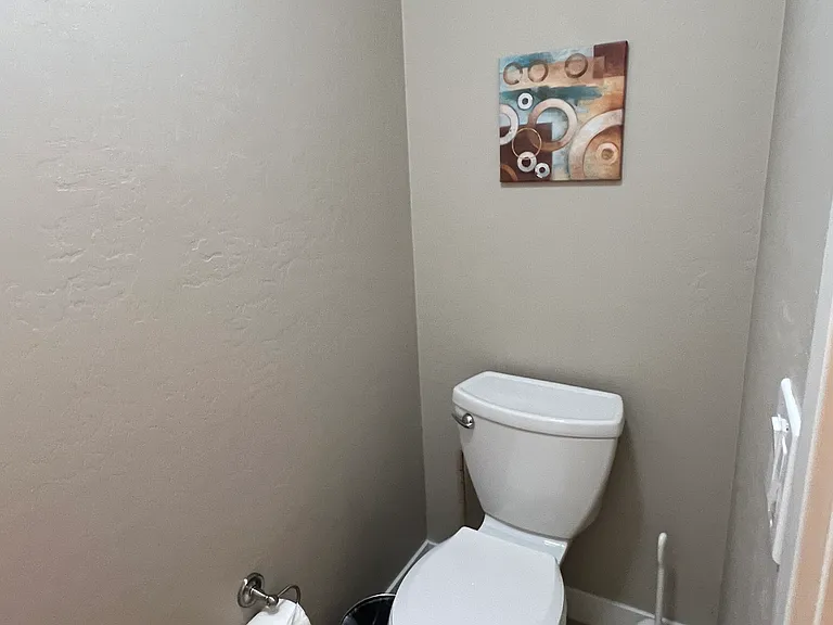 Master bath toilet