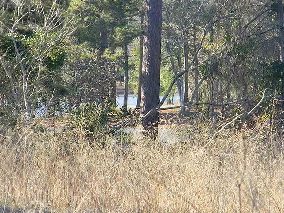 3rd image of 409 & 410 Woodhue Dr