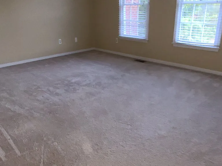 4128 Bush Lake Dr — Photo 15