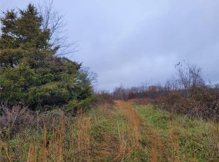 18524 Beaver Hollow Rd, Garfield, AR 72732