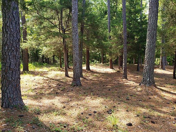 3rd image of L13 B43 Palmer Lane