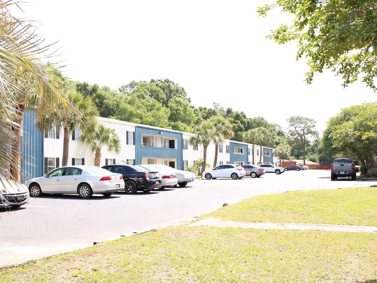 Willow Tree Apartments — Photo 4