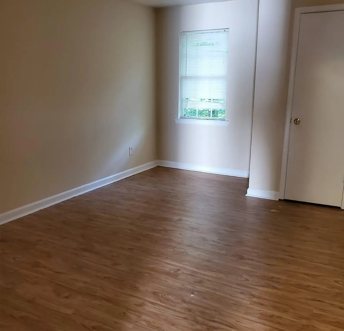 209 E Wilson St — Photo 4
