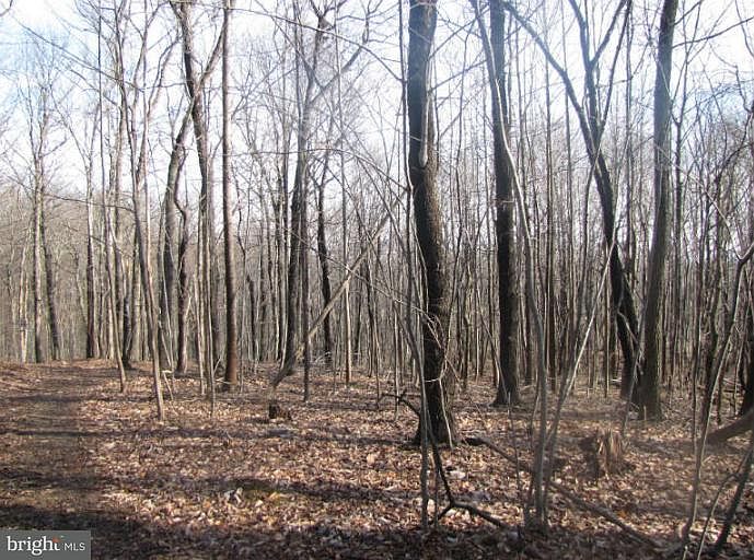 2nd image of 6524 Putman Rd