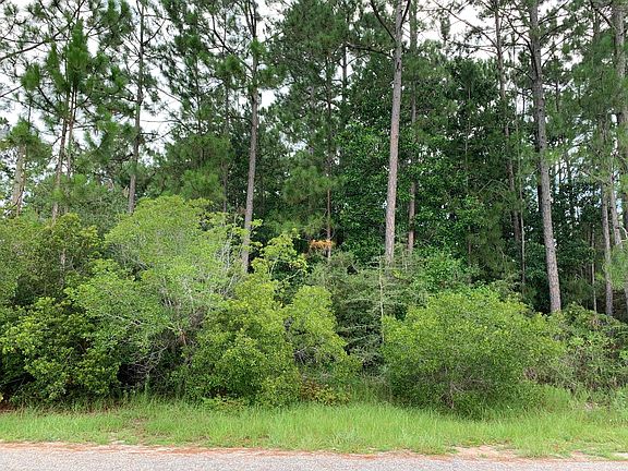5th image of 2363 Knotty Pine Dr