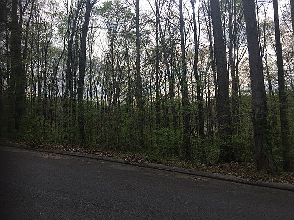 2nd image of 0 County Road 1120