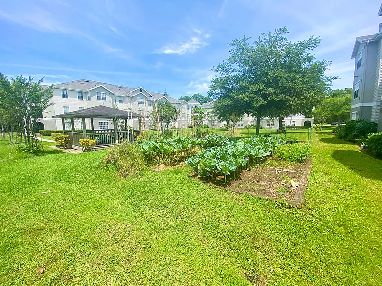 Magnolia Pointe Apartments — Photo 6