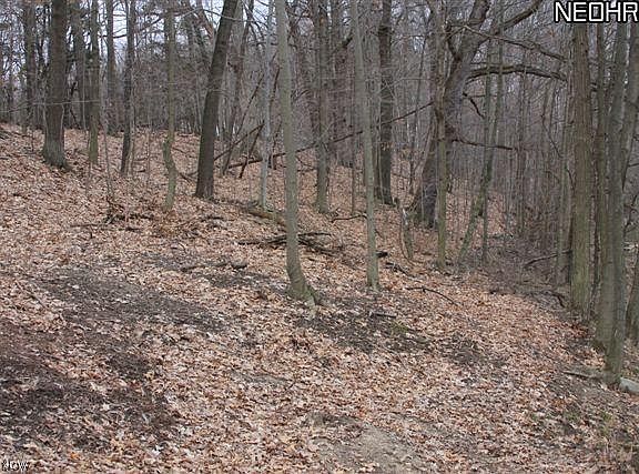 3rd image of 4 Timber Ridge Rd