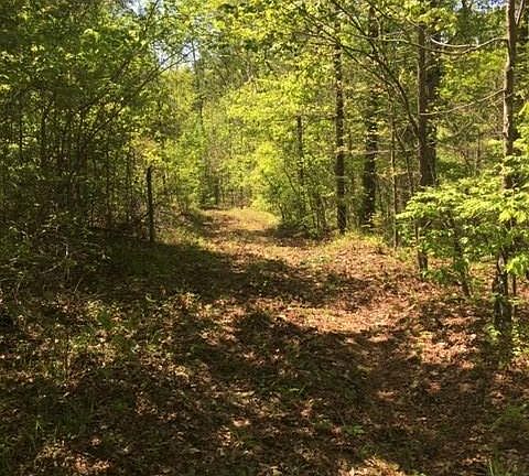 Image 5: Wooded Acreage