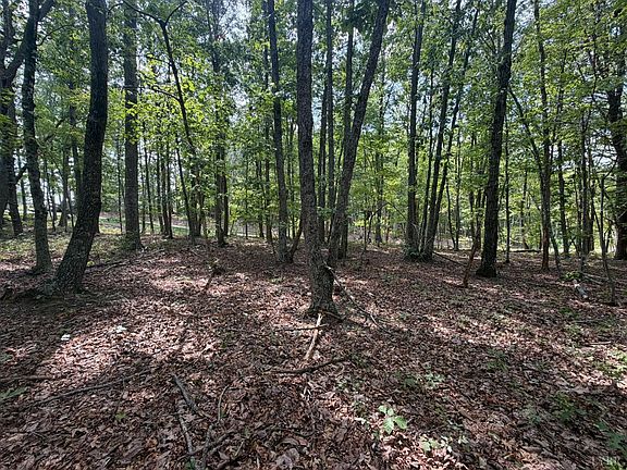 3rd image of 0 Bent Creek Rd Lot 1