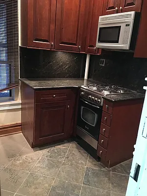 Rented by Manhattan Flats | media 28