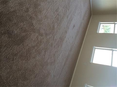5th image of 1006 Cove Hollow Dr