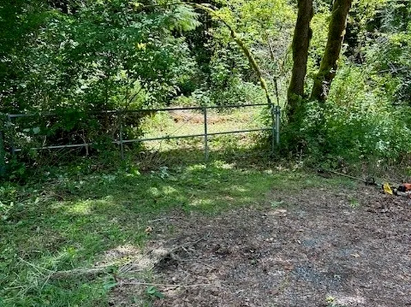 0 NE Elfendahl Pass Road, Belfair, WA 98528