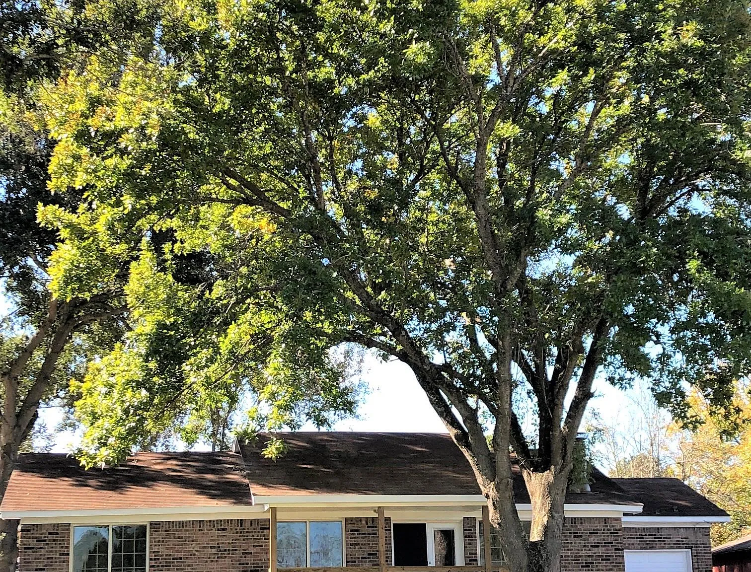 3 bed, 1494 sqft, $1,500 — Photo 2