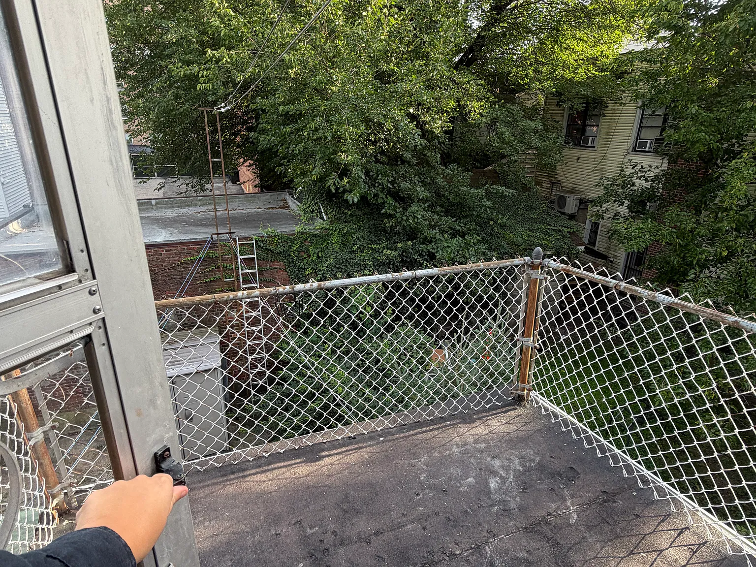 3 bed, 1200 sqft, $3,500 — Photo 3