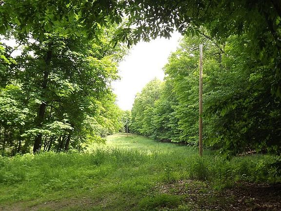 4th image of Xxxxx Eaglewood Court Bay Lake Twp