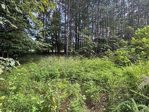 2nd image of 0 Johnson Rd