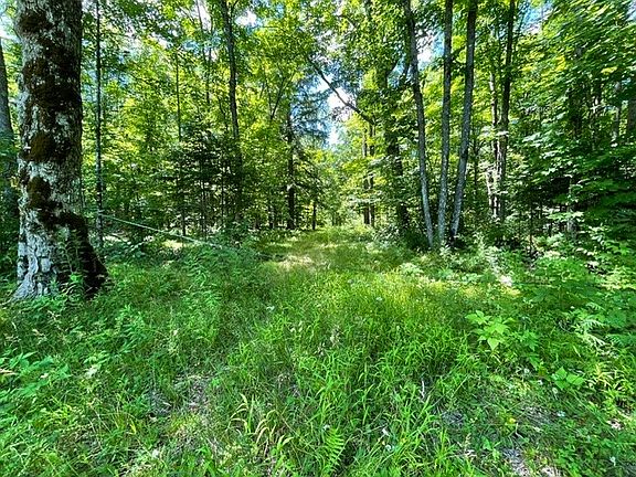 3rd image of 0 Dam Road