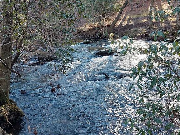 5th image of 193 Opossum Rd #61