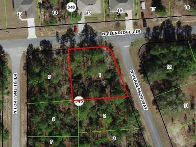 7174 N Glenridge Cir, Citrus Springs, FL, 34434