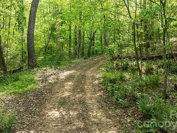 3rd image of 256 Long Leaf Pine Dr