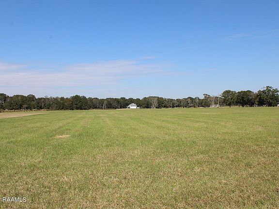 3rd image of Peach Bloom Hwy