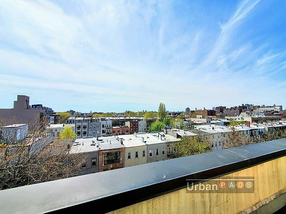 3rd image of 808 Myrtle Ave APT 6B