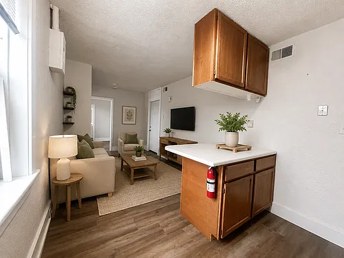 300 Belgrade Ave #401 Photo 1
