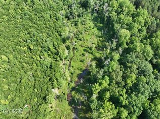 0 S Highway 17, Louisville, GA 30434