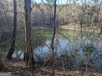 0 Parker Rd, Dry Branch, GA, 31020