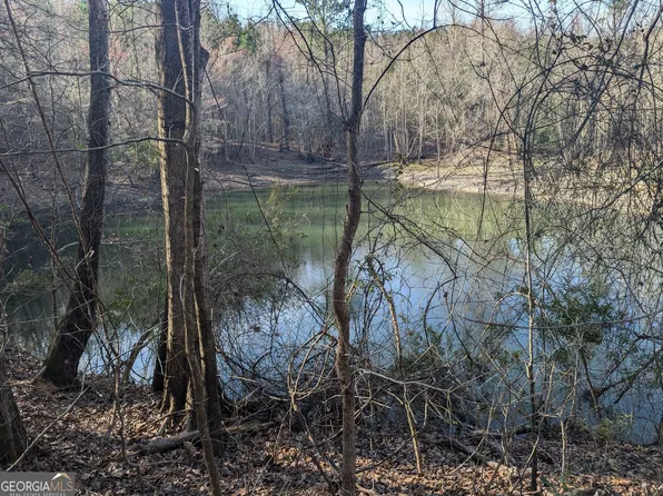 0 Parker Rd, Dry Branch, GA 31020