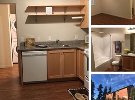 Riva Courtyard Apartments