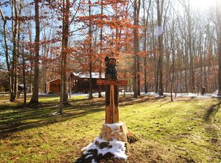 164 Chester Kelley Rd, Tellico Plains, TN 37385