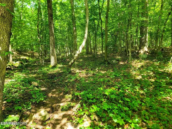 161 Sugarbush Cir #350, Crossville, TN 38558