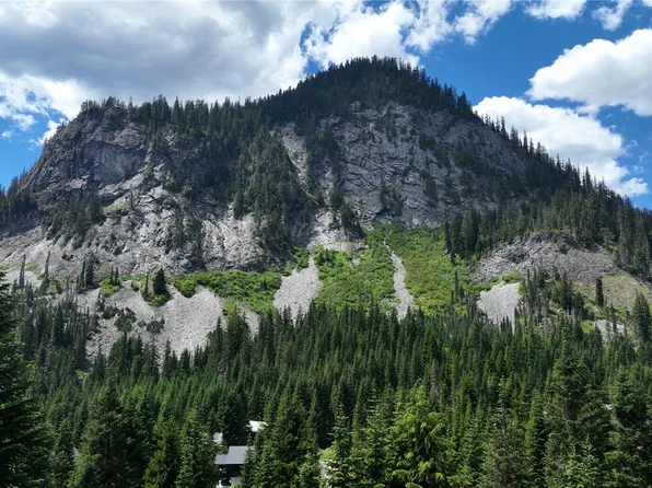 30 Saint Anton, Snoqualmie Pass, WA 98068