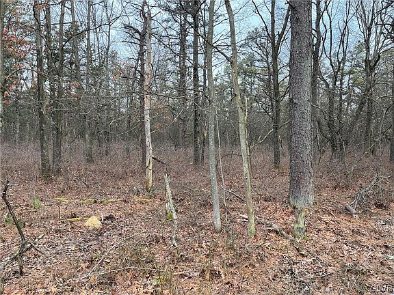 4th image of 343 Wild Creek Dr