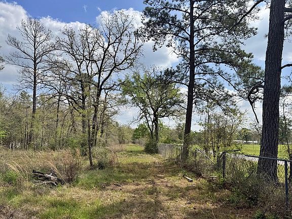 4th image of 251 William Thomas Rd