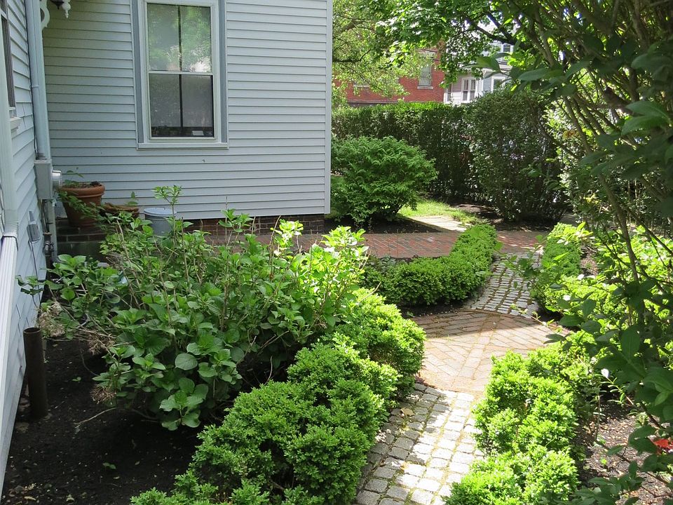 984 Chestnut #2 (6)