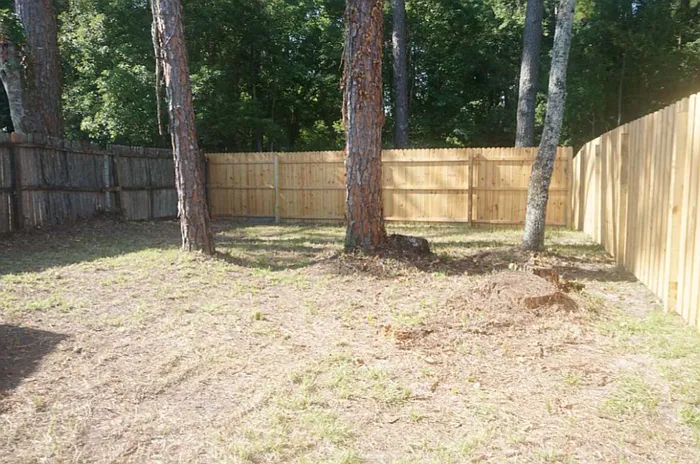5558 Bennington Dr — Photo 11