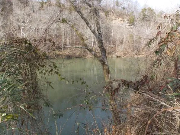 0 Buffalo Bottom Rd, Linden, TN 37096