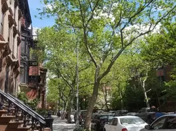 147 Amity Street image 1 of 6