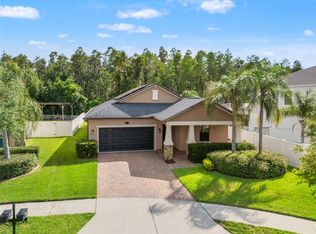 19476 Paddock View Dr, Tampa, FL 33647