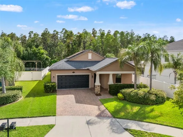 19476 Paddock View Dr, Tampa, FL 33647