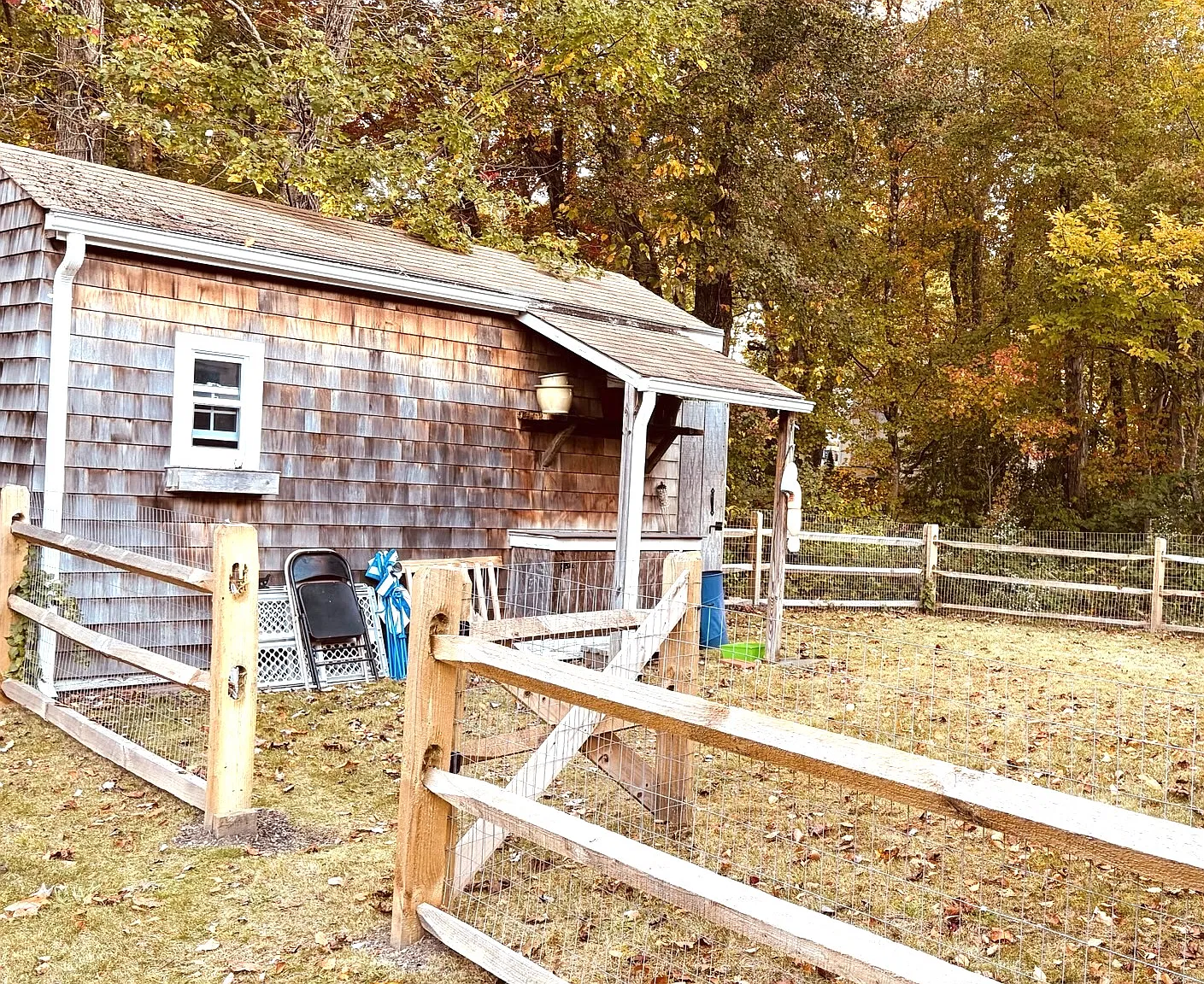 2 bed, 950 sqft, $2,500 — Photo 3