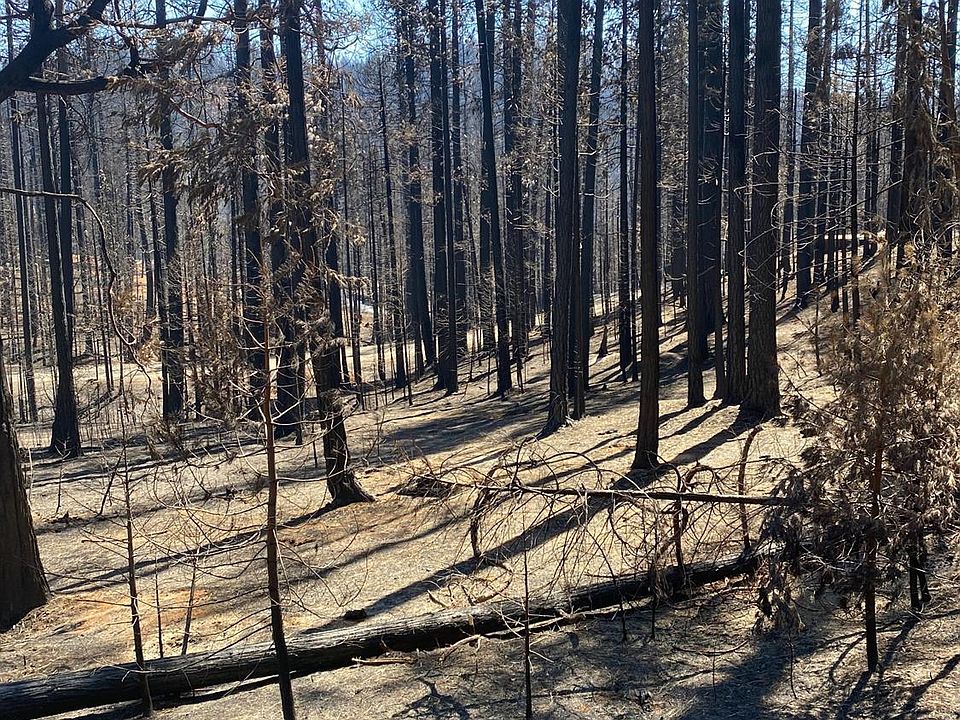 1st image of 5280 Golden Aspen Dr