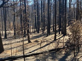 5280 Golden Aspen Dr, Grizzly Flats, CA