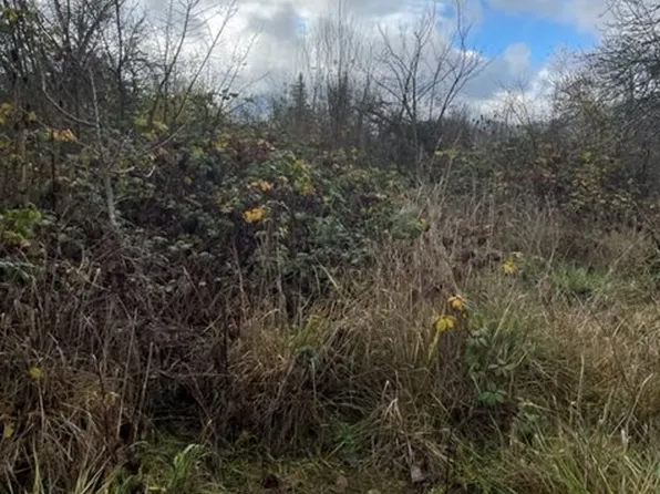 256 Carte Ln, Myrtle Creek, OR 97457