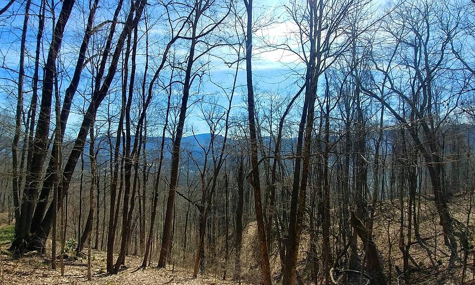 1st image of 29 Mountainside Dr