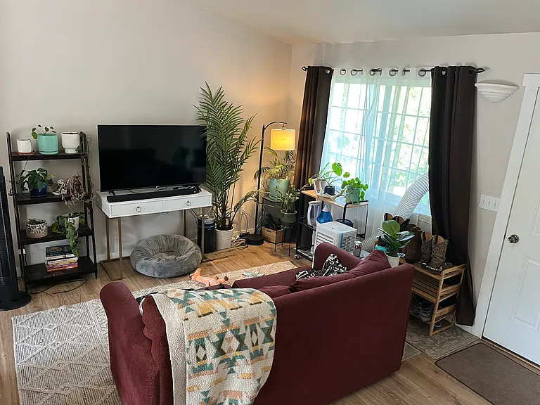 Lily Dr — Photo 3